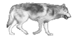 ͼƬ´ڴ򿪲鿴