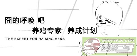 ͼƬ´ڴ򿪲鿴